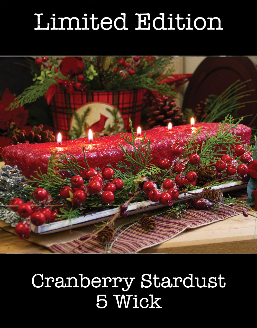 5 Wick Loaf Candle Cranberry Stardust