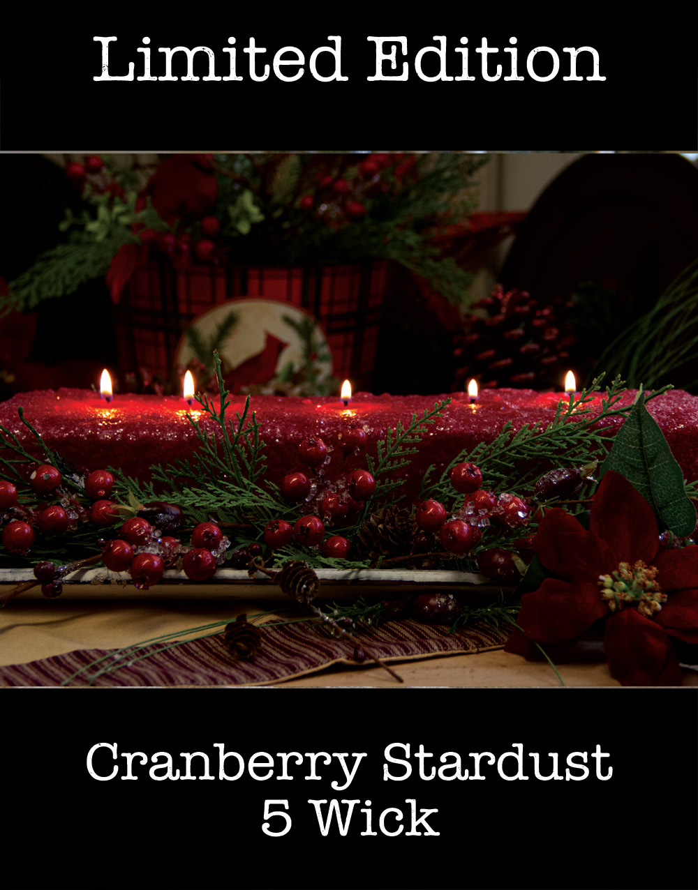 5 Wick Loaf Candle Cranberry Stardust