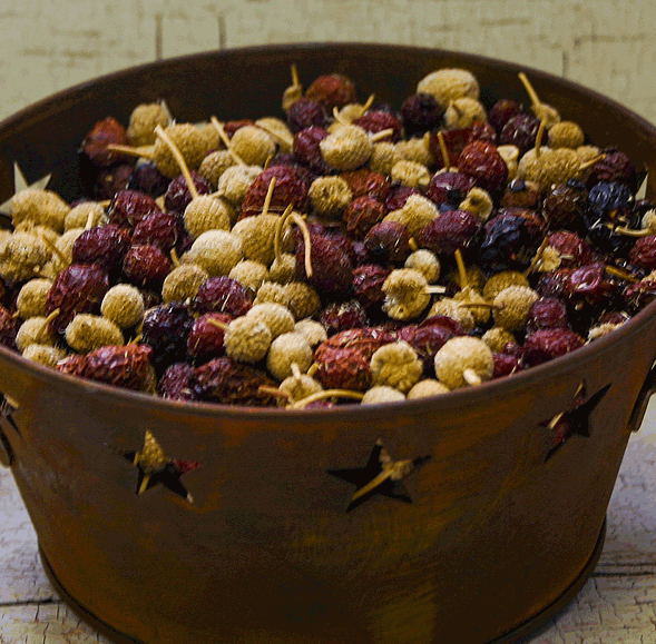 Dried Rose Hips