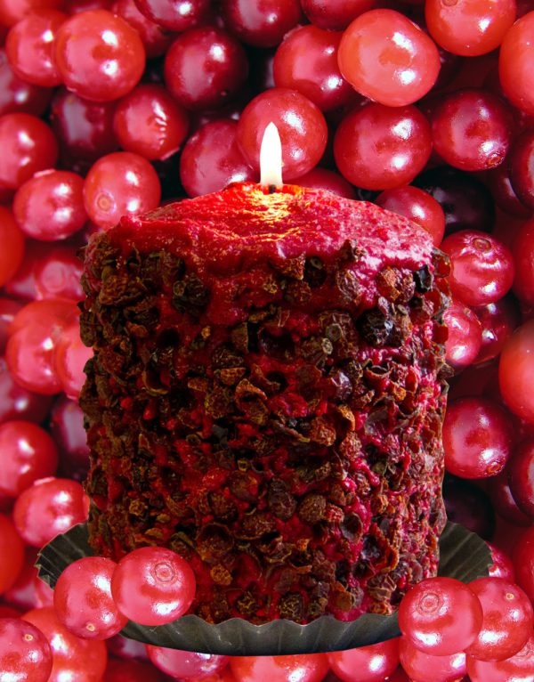 Homespun Harvest Hearth Candle on Background of Cranberries