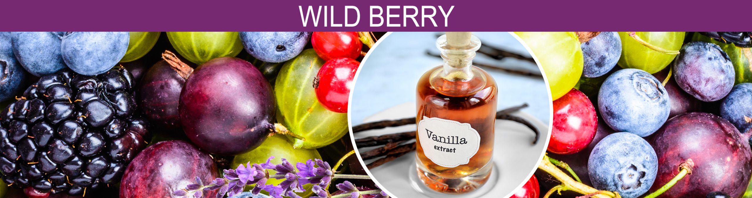 Banner image of a mix of crisp berries, creamy vanilla and a hint of sweet basil lavender.