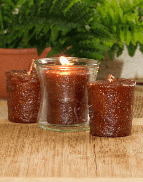 Coffee House 3 Pack Votive Candles