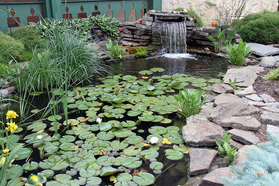 Pond with waterfall