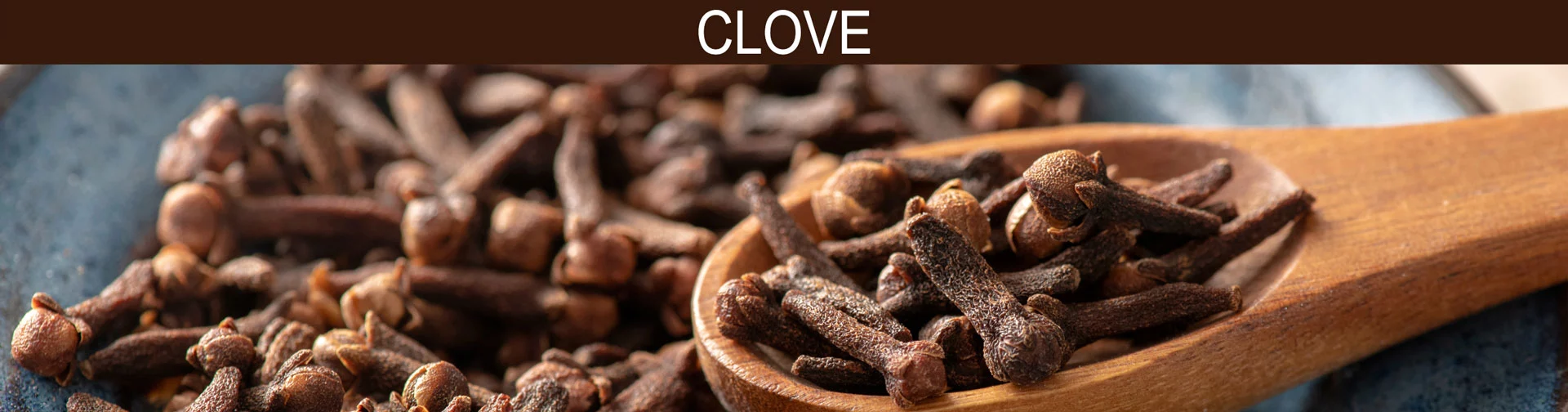 Banner image of cloves