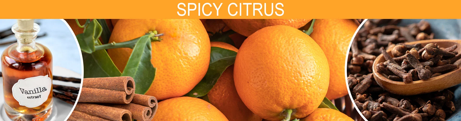 Banner image of spicy citrus, orange, cinnamon stick, clove, vanilla