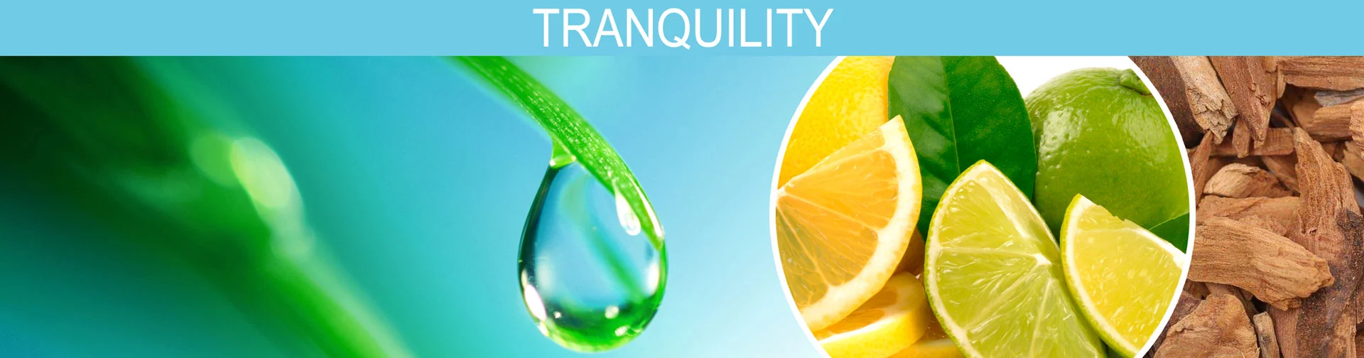 Banner image of Tranquility, A fragrance that will soothe your mind, body, and soul, like a relaxing day at the spa.