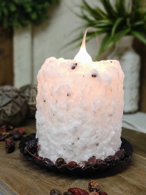 Creamy Vanilla Bean Electric