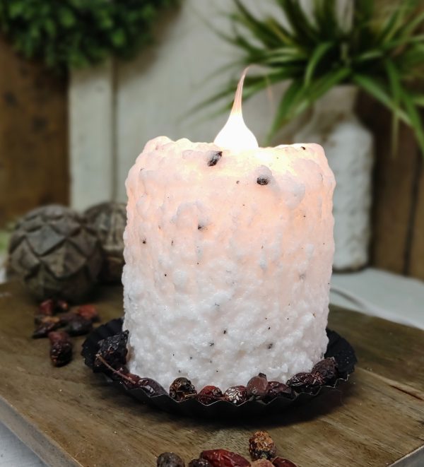 Creamy Vanilla Bean Electric