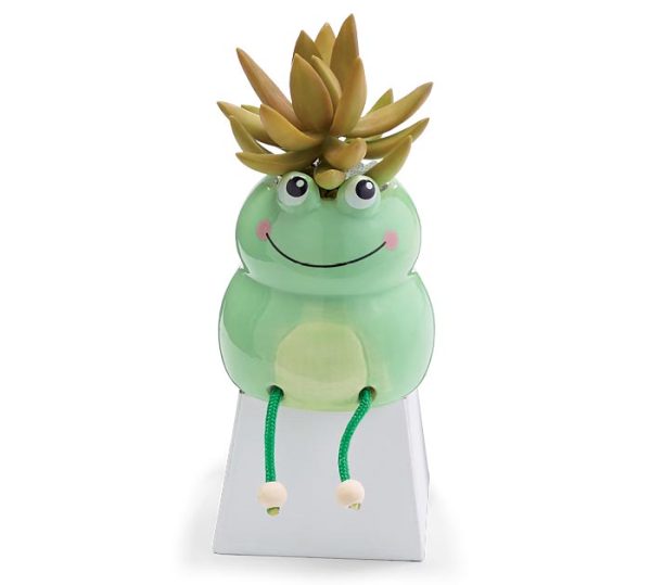 Dangle Leg Frog Planter