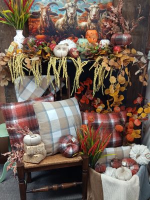 Fall / Halloween
