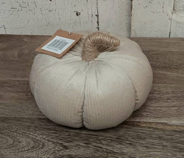 Medium Almond Corduroy Pumpkin