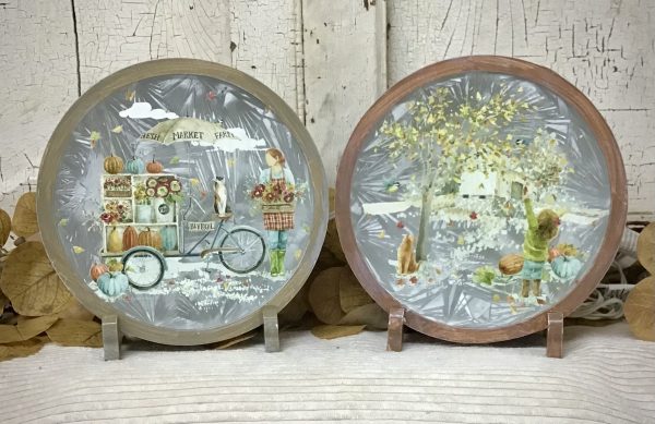 Round Decorative Fall Light Assorted