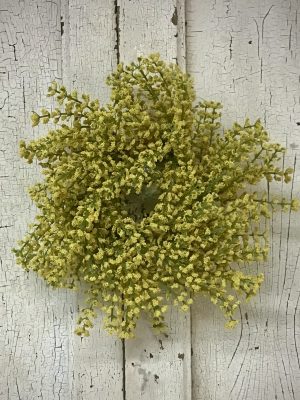 Bursting Astilbe Candle Ring Sunshine 3.5"