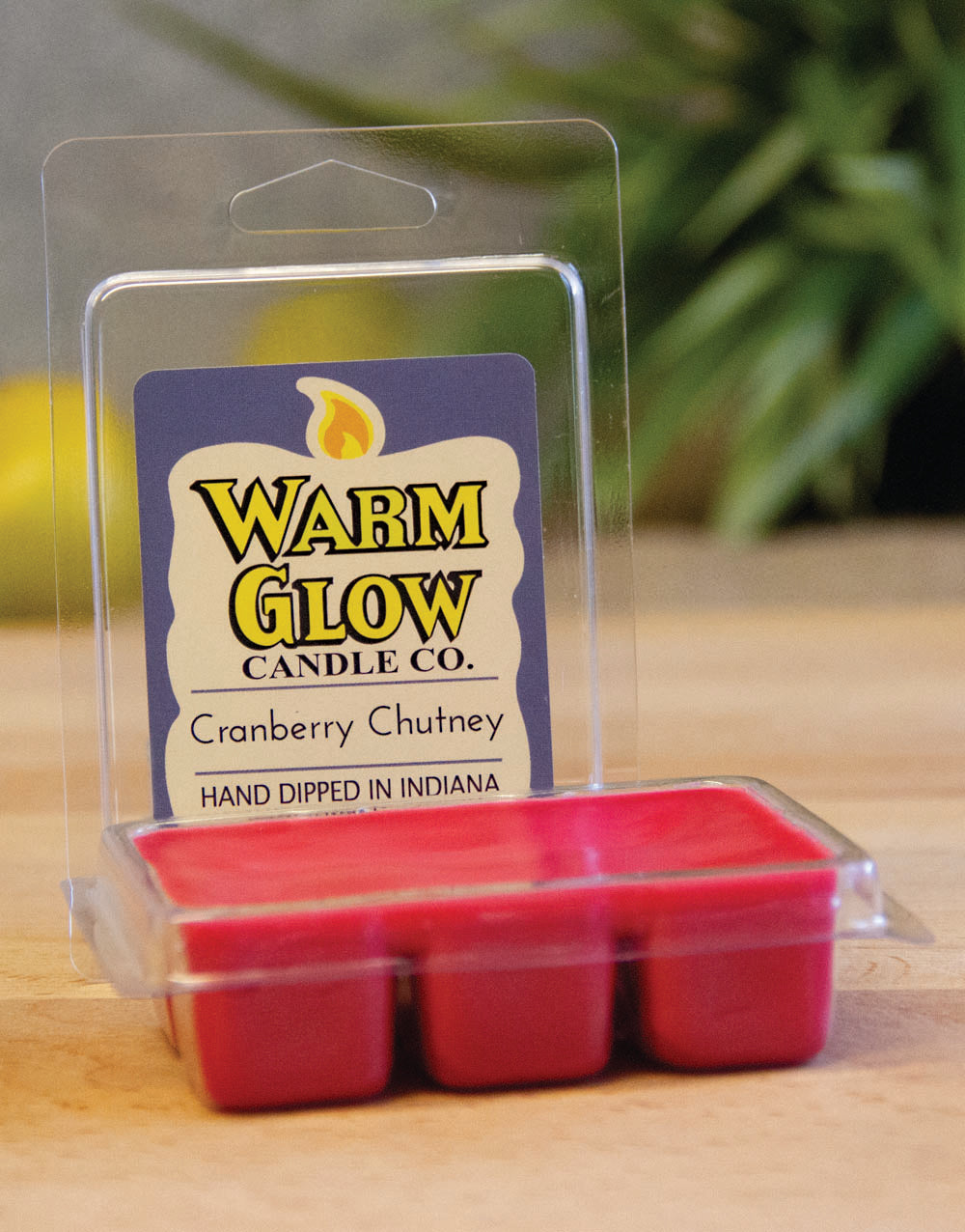 Cranberry Chutney Scented Melt