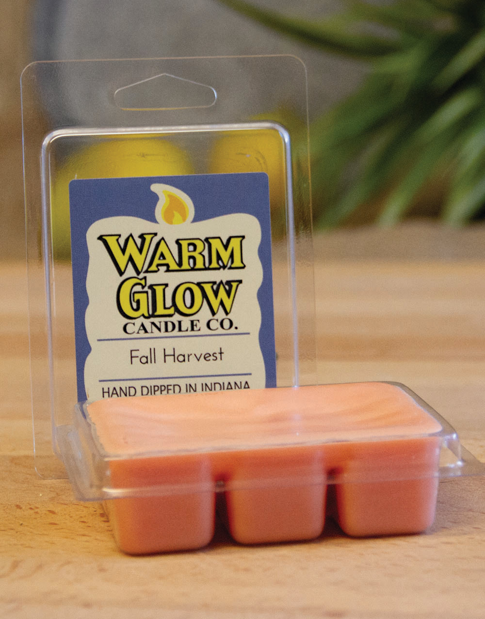 Fall Harvest Scented Melt