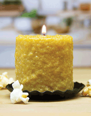 Ma & Pa Kettlecorn Mini Hearth