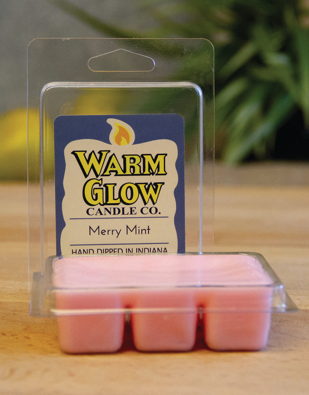 Merry Mint Scented Melt