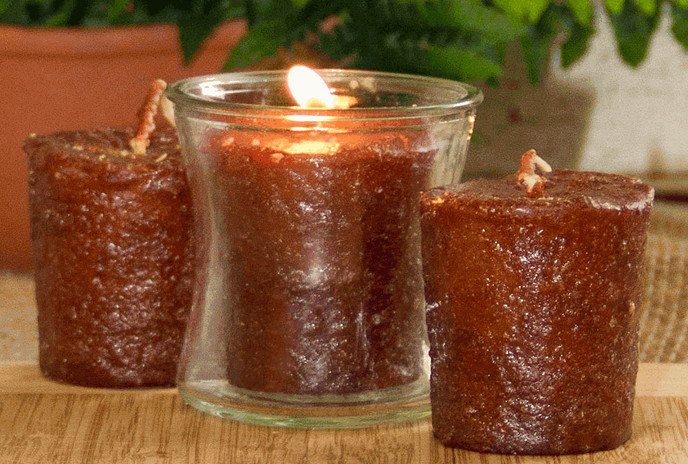 Coffee House 3 Pack Votives